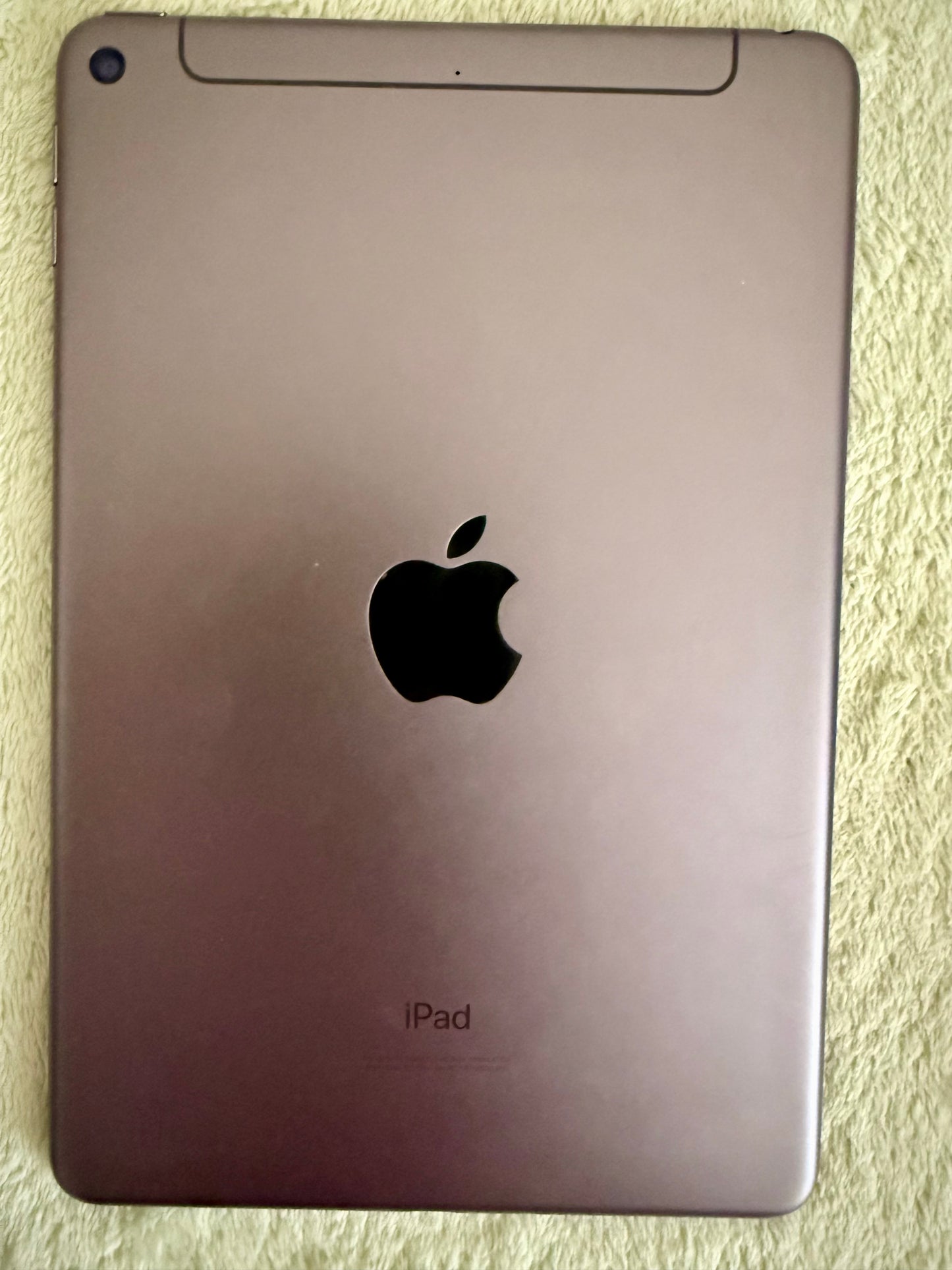 Apple iPad Mini 5th Gen Unlocked Bundle With Cases, Apple Pen and Pen Charger